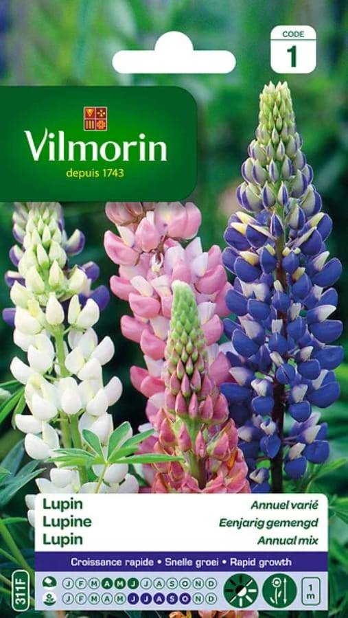Vilmorin - Lupin annuel en mélange série 1 sachet graines 4 g - Vilmorin - Image 3