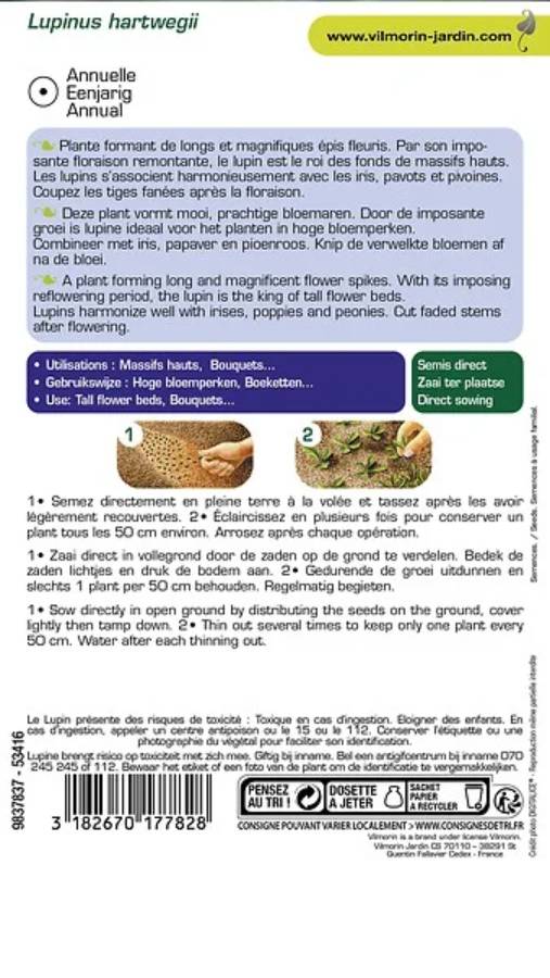 Vilmorin - Lupin annuel en mélange série 1 sachet graines 4 g - Vilmorin - Image 5