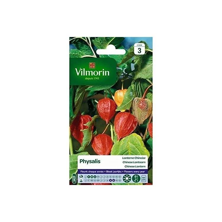 Vilmorin - Physalis lanterne chinoise série 3 sachet graines 1 g - Vilmorin - Image 2