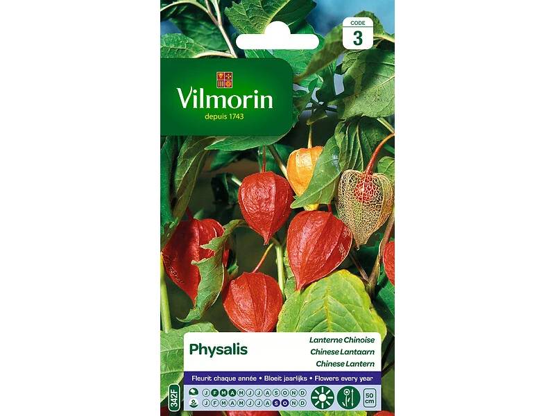 Vilmorin - Physalis lanterne chinoise série 3 sachet graines 1 g - Vilmorin - Image 3