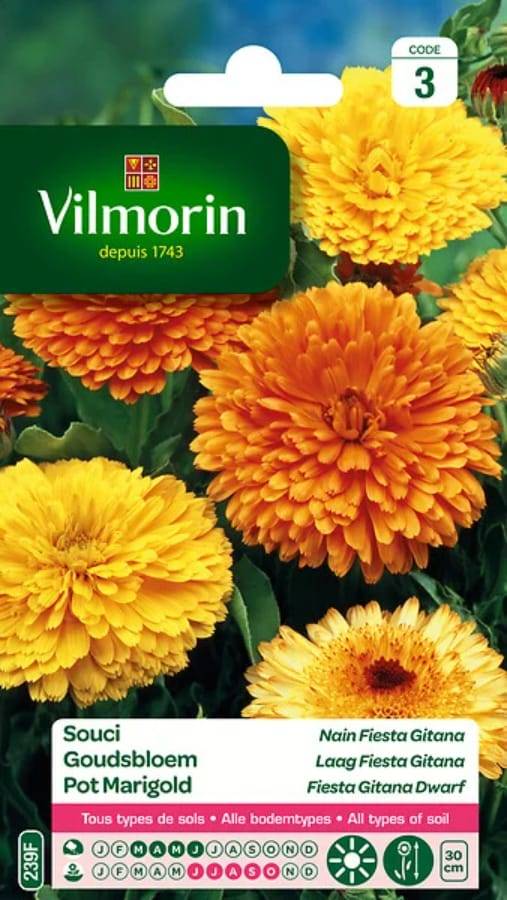 Vilmorin - Souci Nain Fiesta Gitana serie 3 sachet graines 3 g - Vilmorin - Image 3