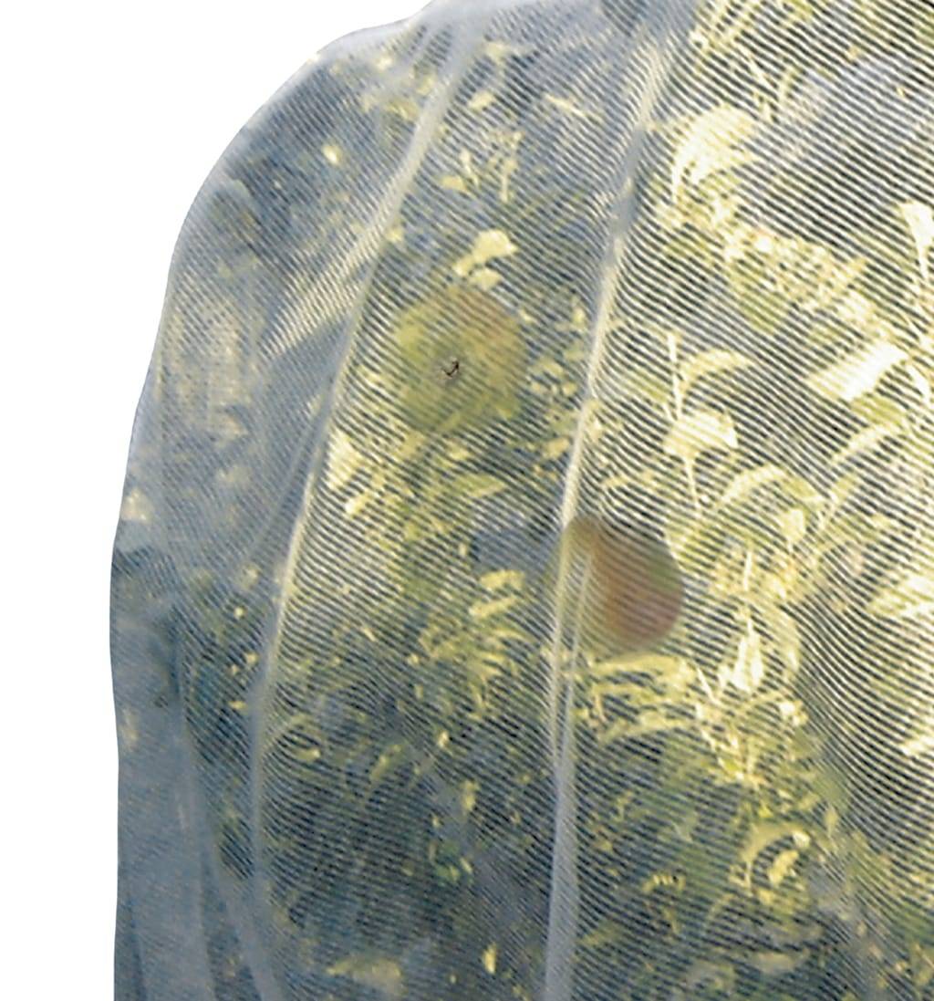 Nortène - PROTECFRUIT Filet spécial verger transparent 5,20x5m