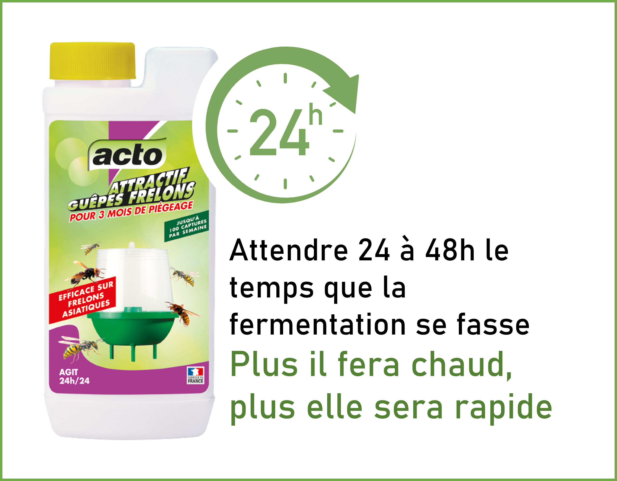 Acto - Attractif guêpes frelons – ACTO - Image 9