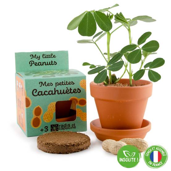 Radis et Capucine - Kit de plantation enfants - RADIS ET CAPUCINE - Image 2