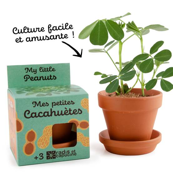 Radis et Capucine - Pot avec coupelle Cacahuète Ø.8 cm - Image 10