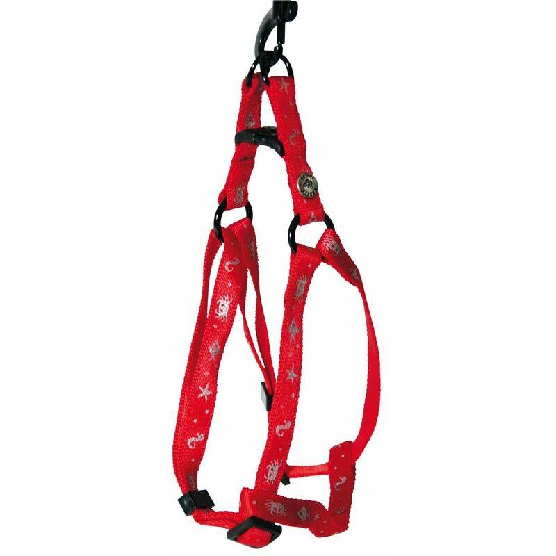 Martin Sellier - Harnais Baudrier Chat Nylon - MARTIN SELLIER - Image 2