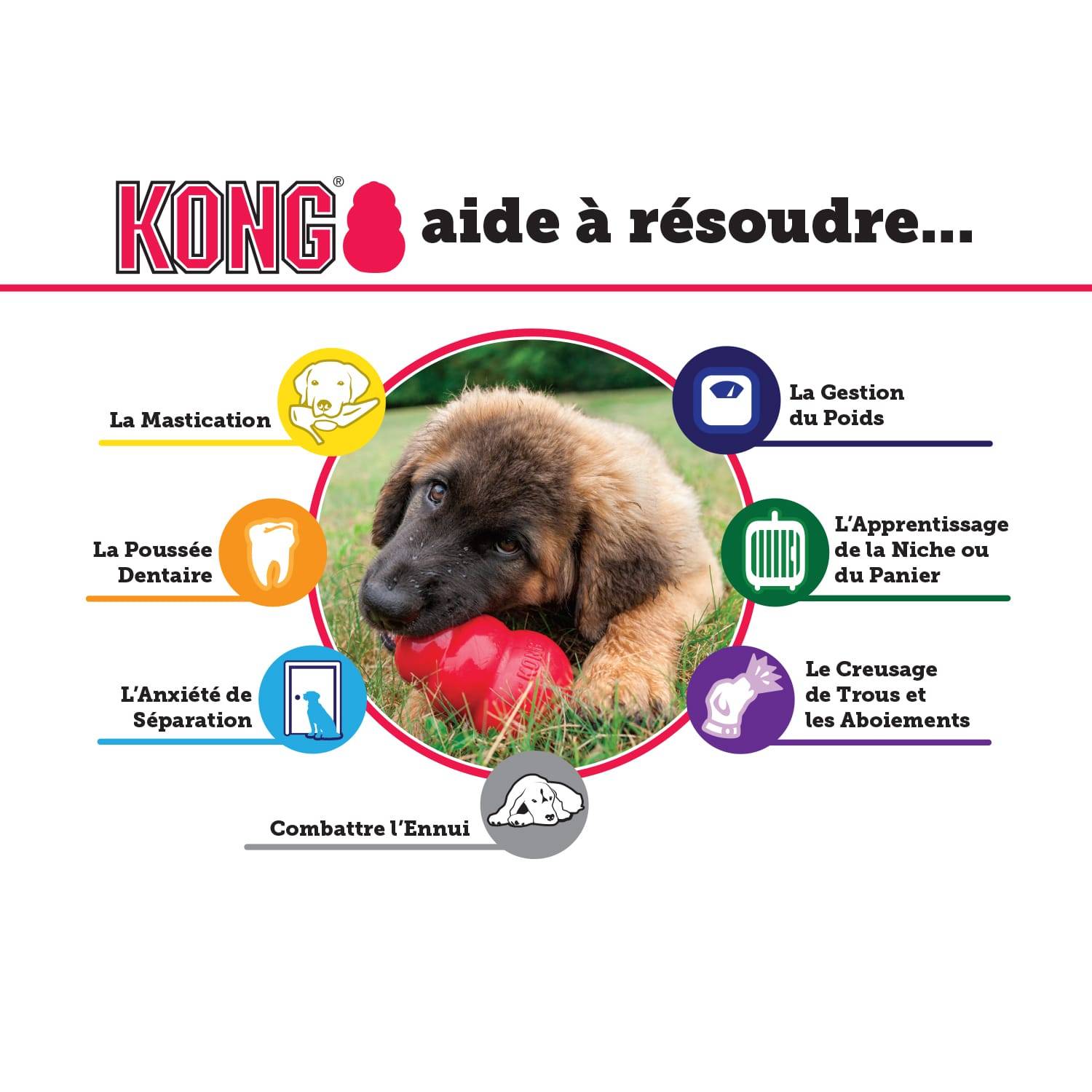 KONG - KONG® EXTREME XL - Image 9