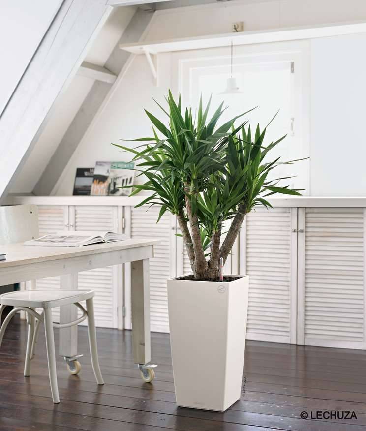 POT CUBICO COLOR  BLANC D30CM - Image 9