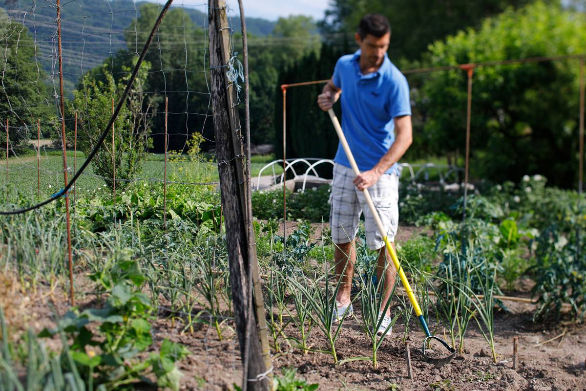 Leborgne - Grattoir Jardin LEBORGNE - Image 7