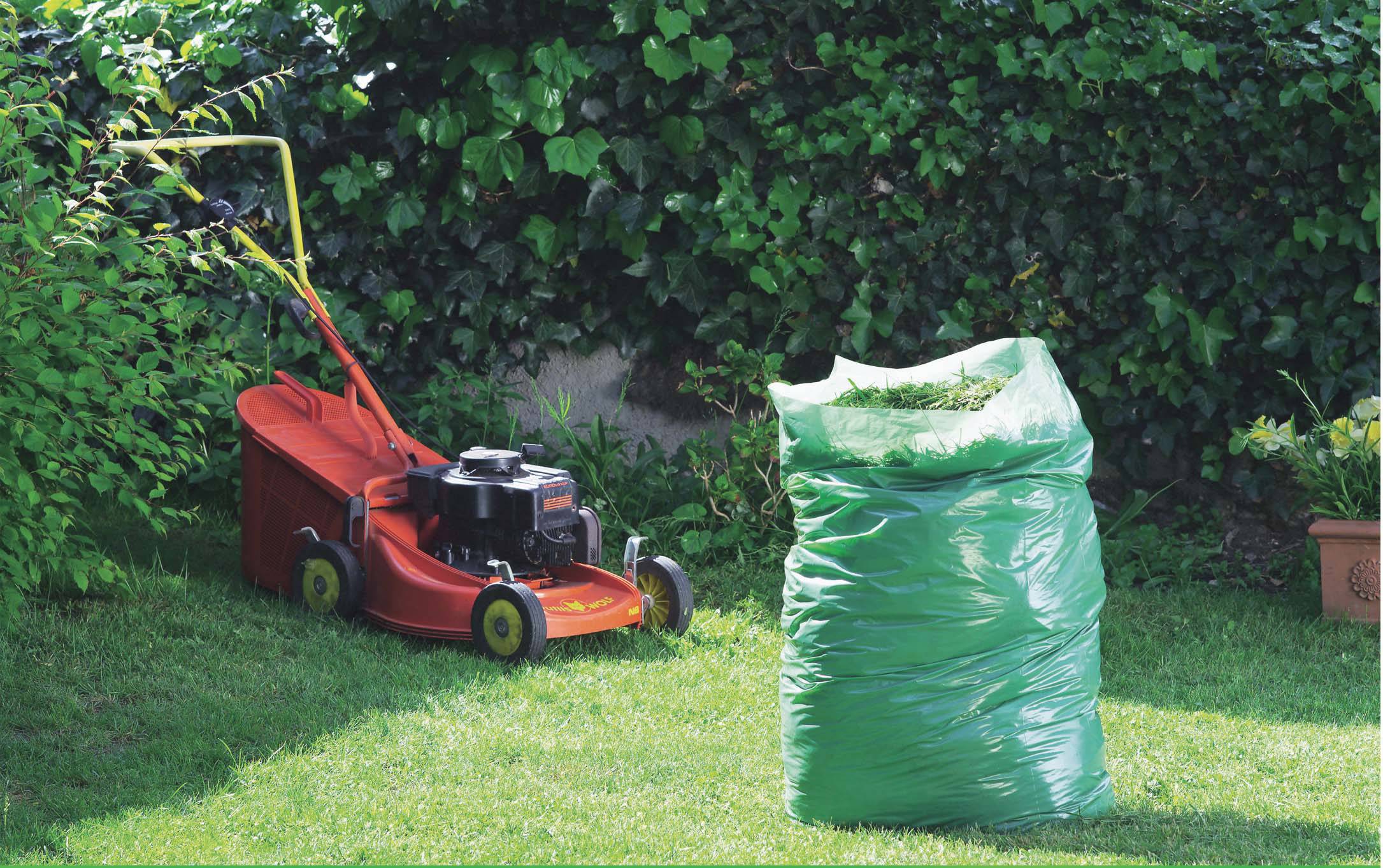 Nortène - 10 sacs déchets verts - NORTENE