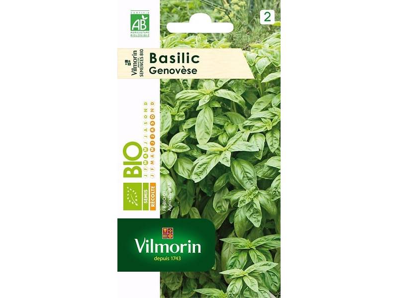 Vilmorin - Basilic Genovese Bio série 2 sachet graines 1 g - Vilmorin - Image 2