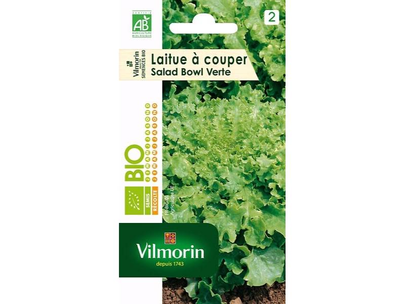 Vilmorin - Laitue a couper salad bowl verte Bio série 2 sachet graines 4 g - Vilmorin - Image 1