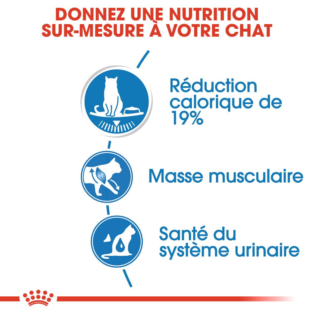 Royal Canin - Royal Canin - Sachet fraîcheur en sauce Ultra Light 85 g - Image 3