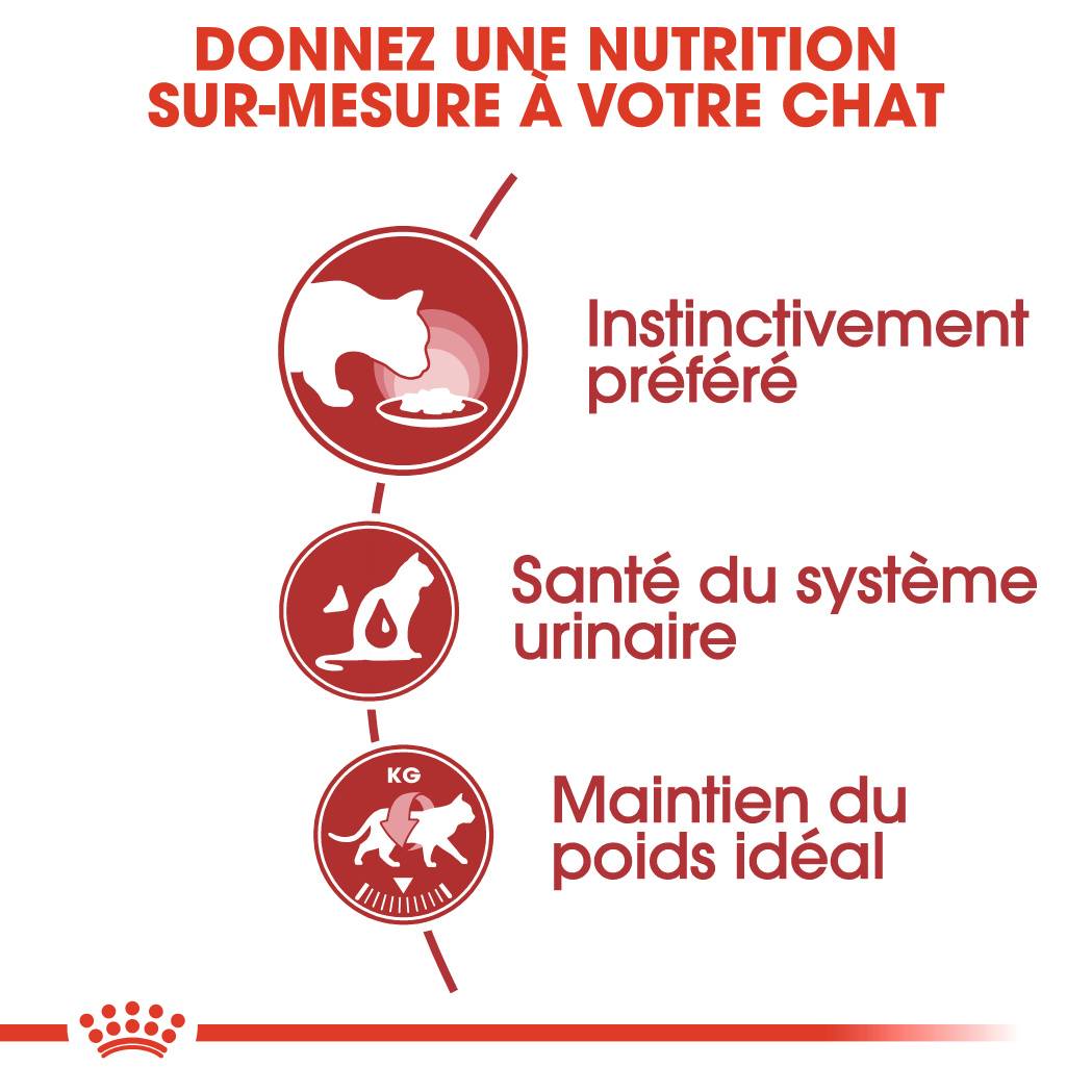 Royal Canin - Nourriture Chat ROYAL CANIN - Image 3