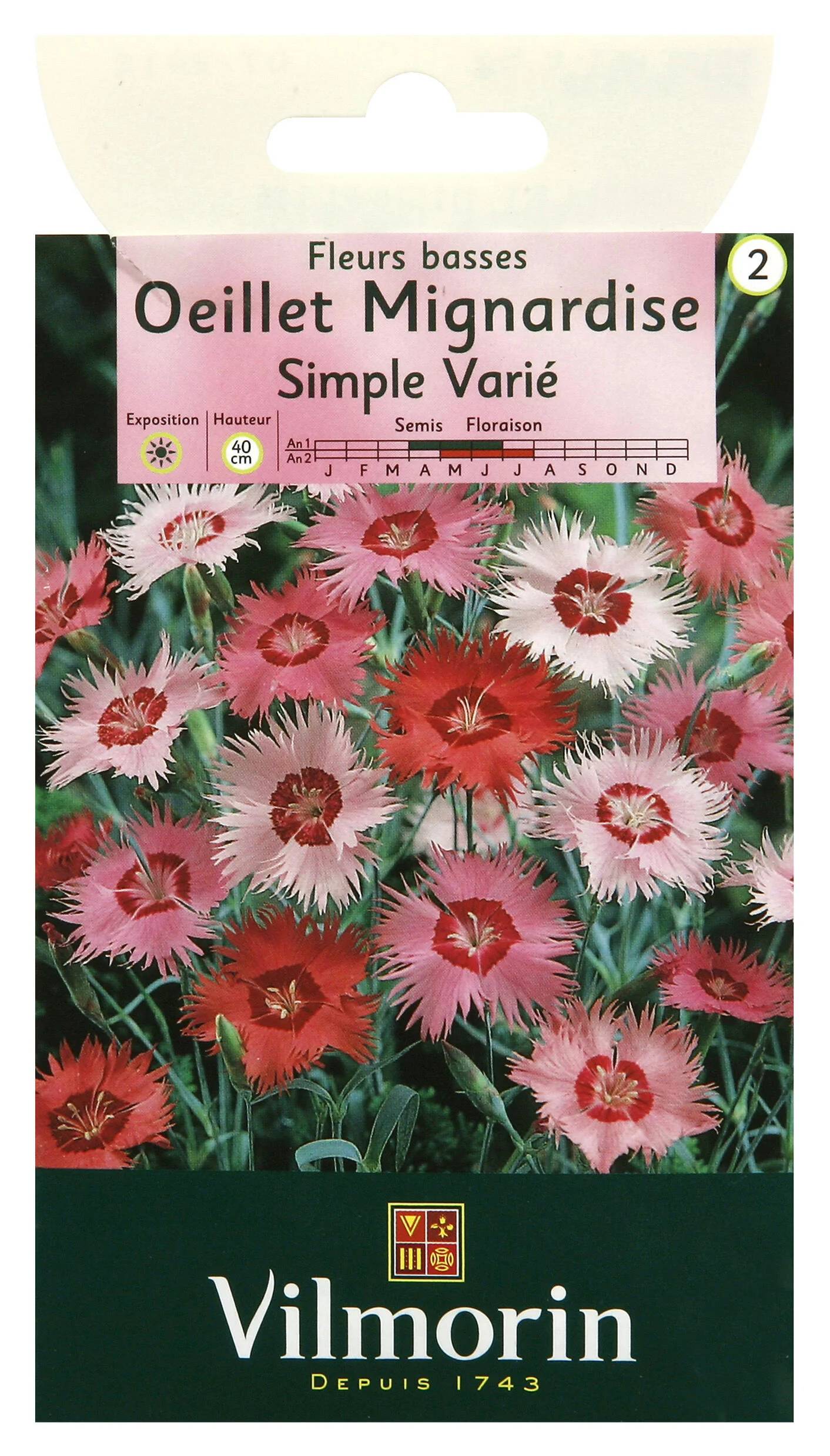 Vilmorin - Oeillet mignardise simple varie série 2 sachet graines 0,5 g - Vilmorin - Image 2