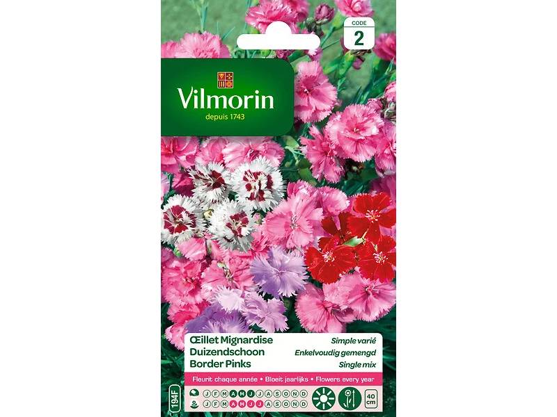 Vilmorin - Oeillet mignardise simple varie série 2 sachet graines 0,5 g - Vilmorin - Image 4