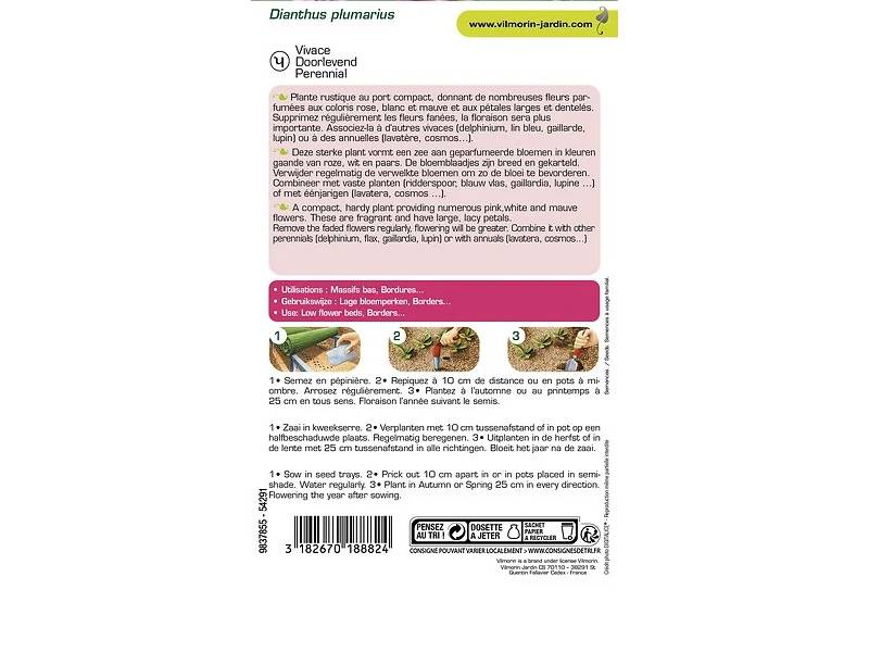 Vilmorin - Oeillet mignardise simple varie série 2 sachet graines 0,5 g - Vilmorin - Image 5