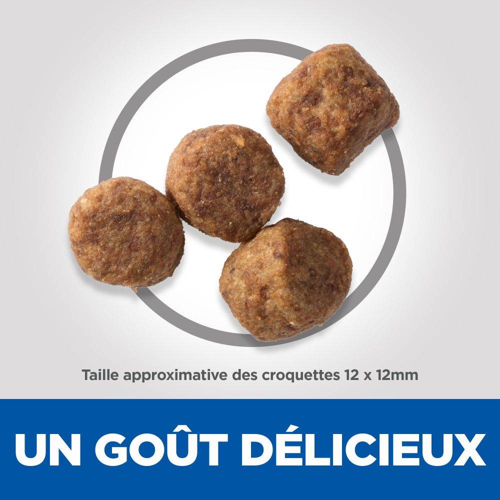 Science plan - Croquettes pour Chien Mature Adulte 7+ Light Medium Poulet 12kg - Science Plan Hill's - Image 7