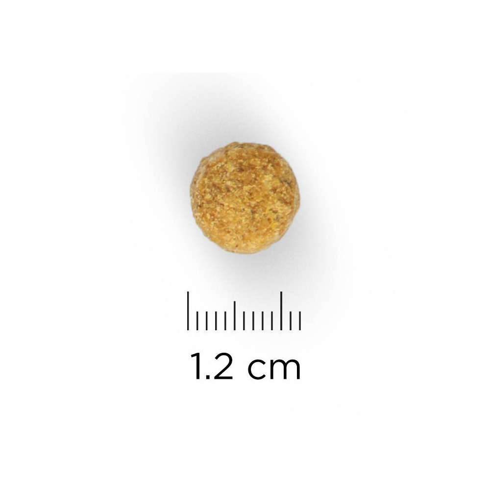 Science plan - Croquettes pour Chien Mature Adulte 7+ Light Medium Poulet 12kg - Science Plan Hill's - Image 10