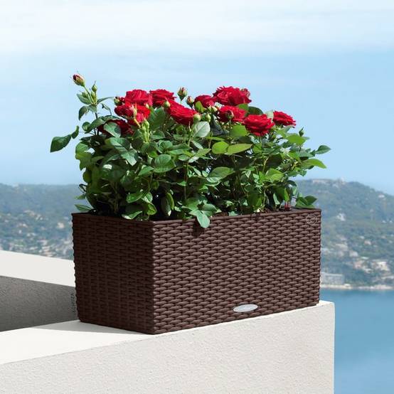 Lechuza - Balconera Cottage 50 - kit complet, moka - Image 1