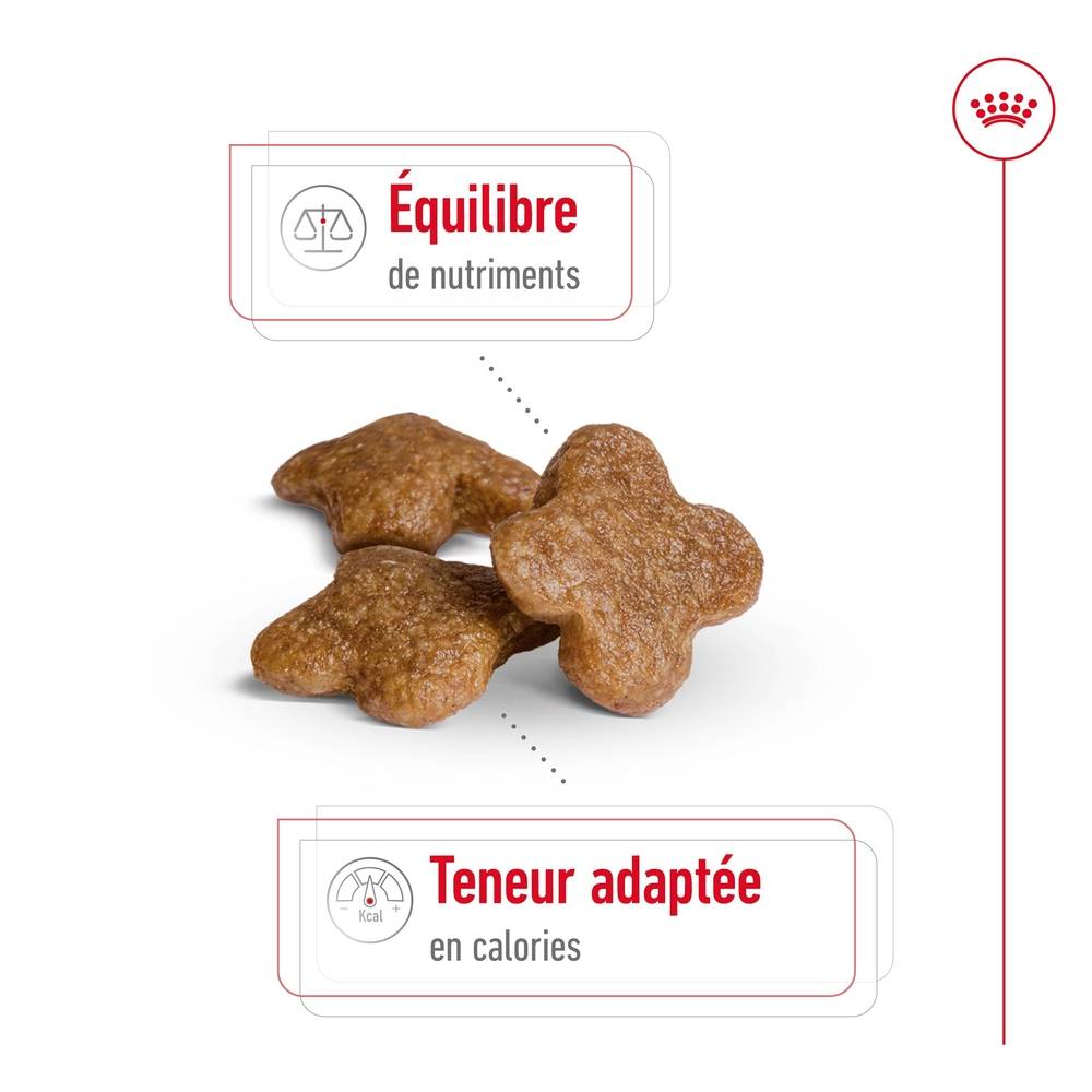 Royal Canin - Croquettes chien ROYAL CANIN - Image 3