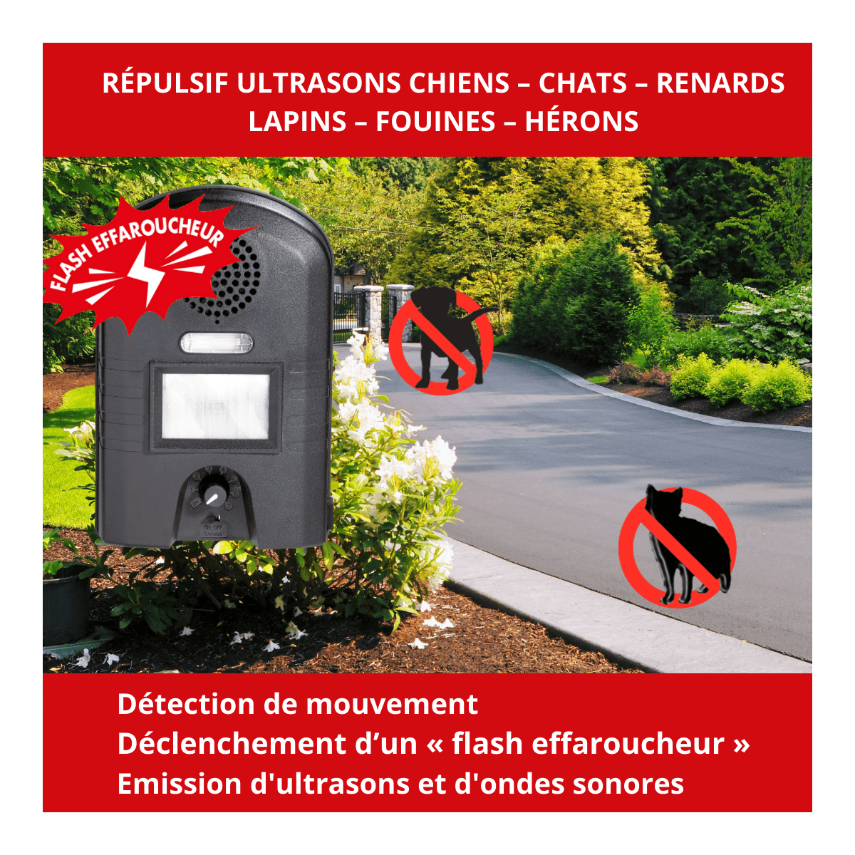 Appareil ultrasons chien et chat A piles - RETRO - Image 5