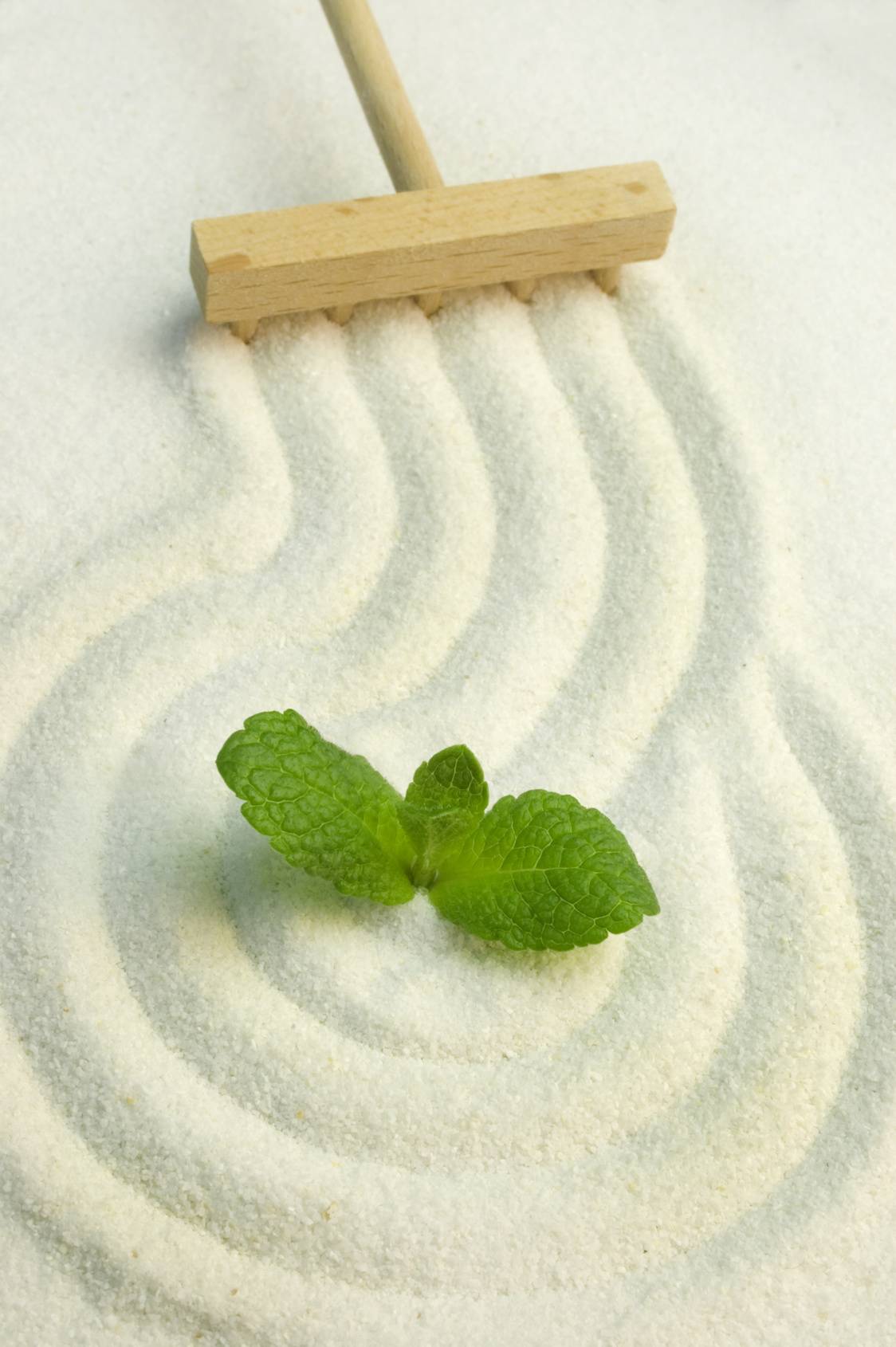 Natur Déco - Sable de Décoration Fin Blanc - Image 3
