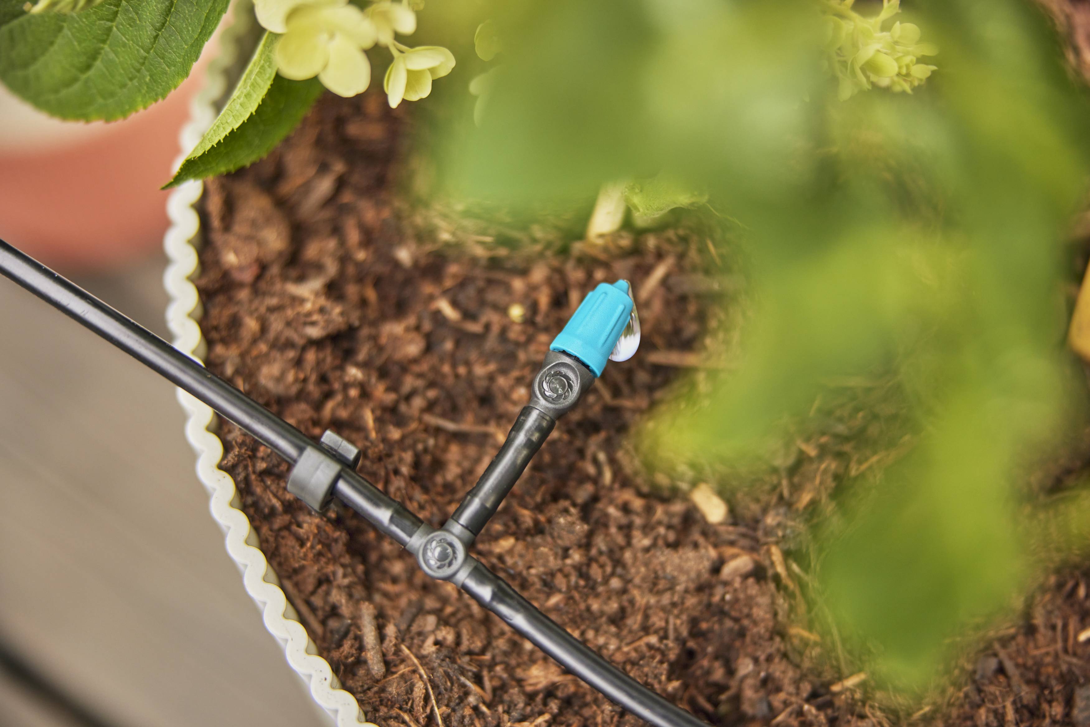 Gardena - Tuyau Micro Drip polyéthylène noir Ø 4,6 mm L. 50 m - Gardena - Image 7