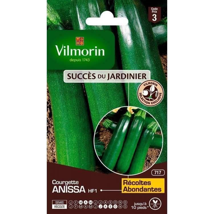 Vilmorin - Courgette Anissa HF1 serie 3 sachet graines 3 g - Vilmorin - Image 2