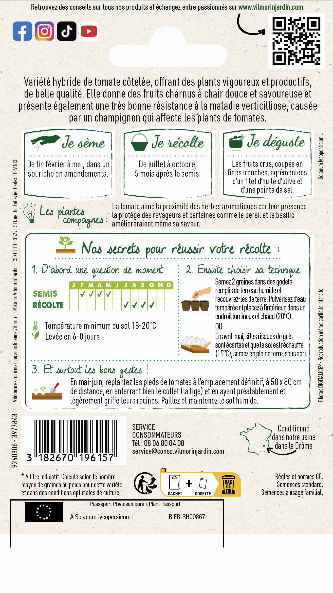 Vilmorin - Tomate Corazon HF1 serie 3 sachet graines 0,2 g - Vilmorin - Image 4