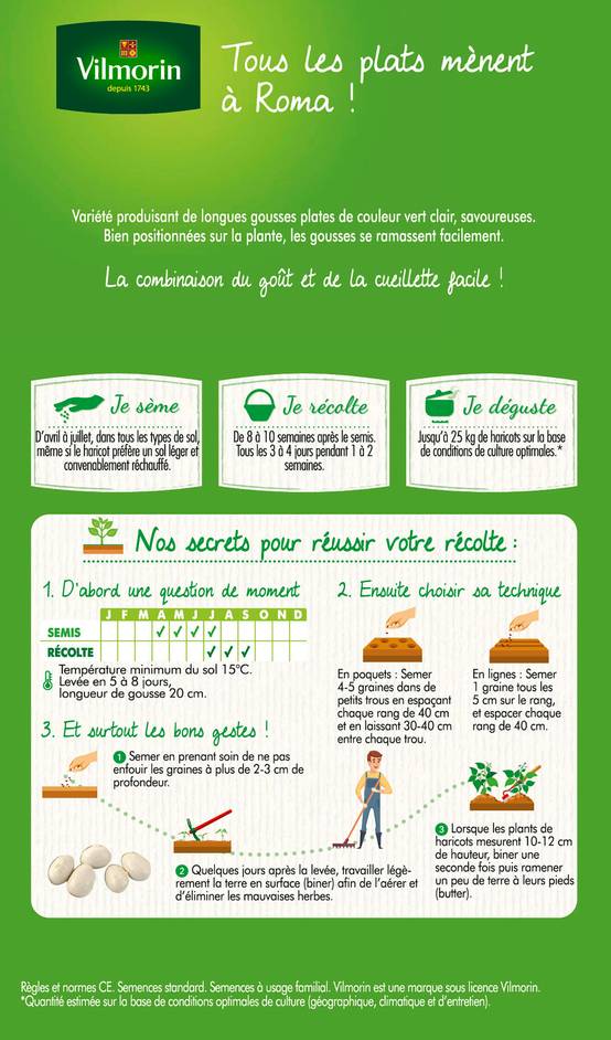 Vilmorin - Haricot Nain Vert Plat Roma 2 serie 2 boîte graines 150 g - Vilmorin - Image 2