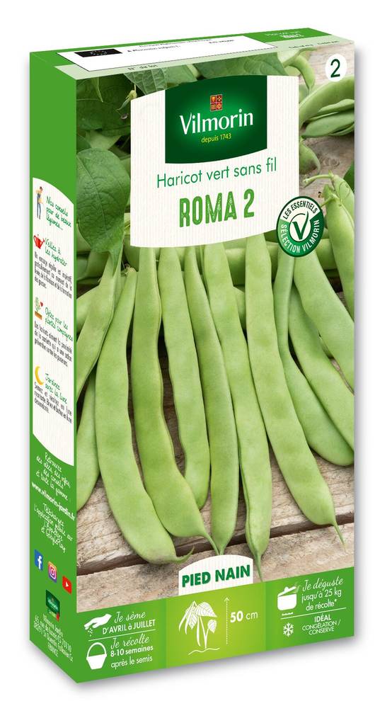 Vilmorin - Haricot Nain Vert Plat Roma 2 serie 2 boîte graines 150 g - Vilmorin - Image 1