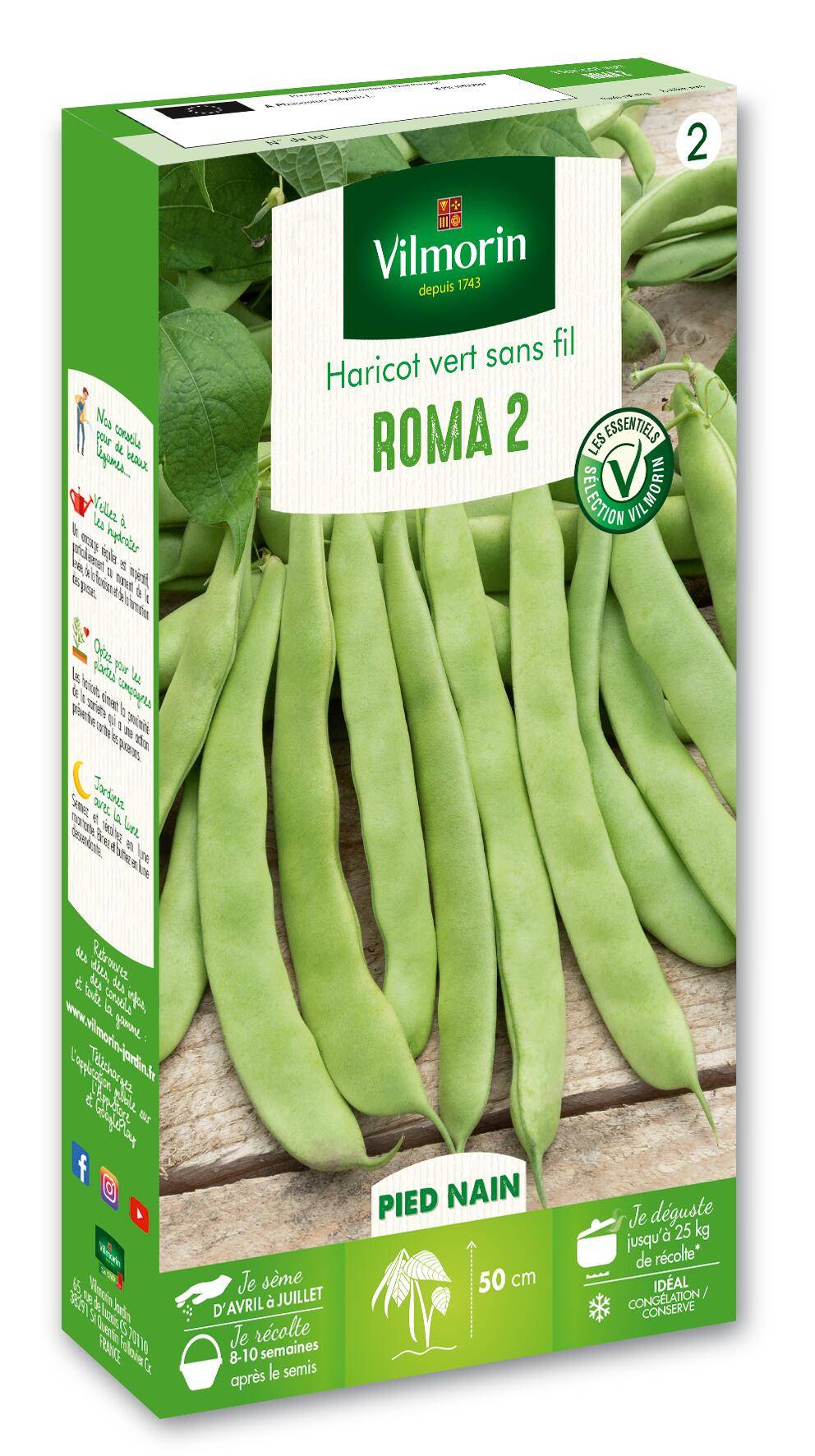 Vilmorin - Haricot Nain Vert Plat Roma 2 serie 2 boîte graines 150 g - Vilmorin - Image 1