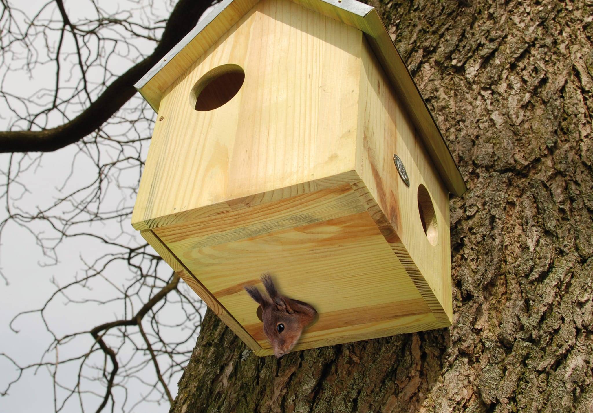 Best For Birds - Abri pour écureuil - Image 2
