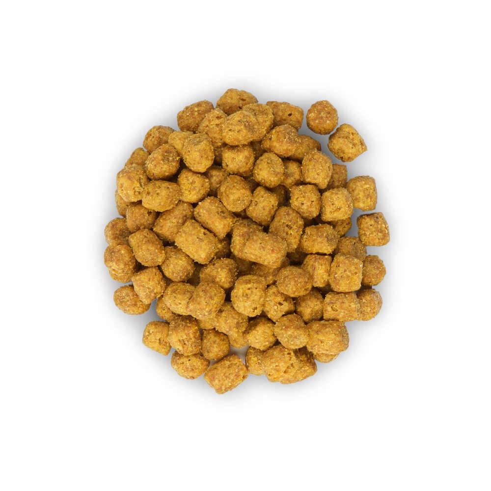 Science plan - Croquettes Chat Adulte Stérilisé Poulet - HILL'S - Image 8