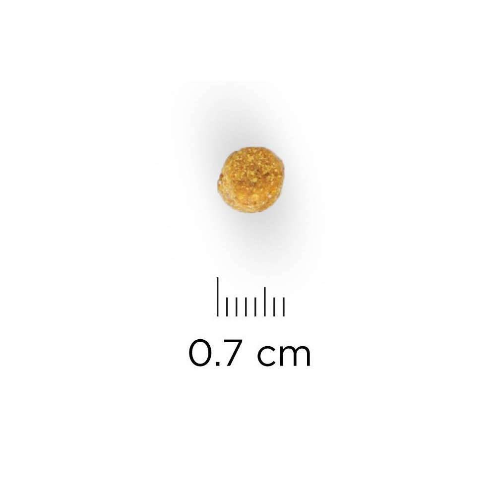 Science plan - Croquettes Chat Adulte Stérilisé Poulet - HILL'S - Image 12