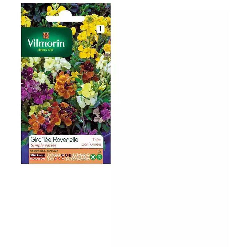 Vilmorin - Giroflée ravenelle simple variée série 1 sachet graines 1,5 g - Vilmorin - Image 1