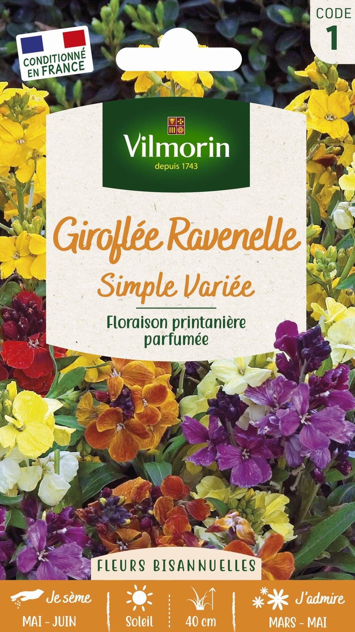 Vilmorin - Giroflée ravenelle simple variée série 1 sachet graines 1,5 g - Vilmorin