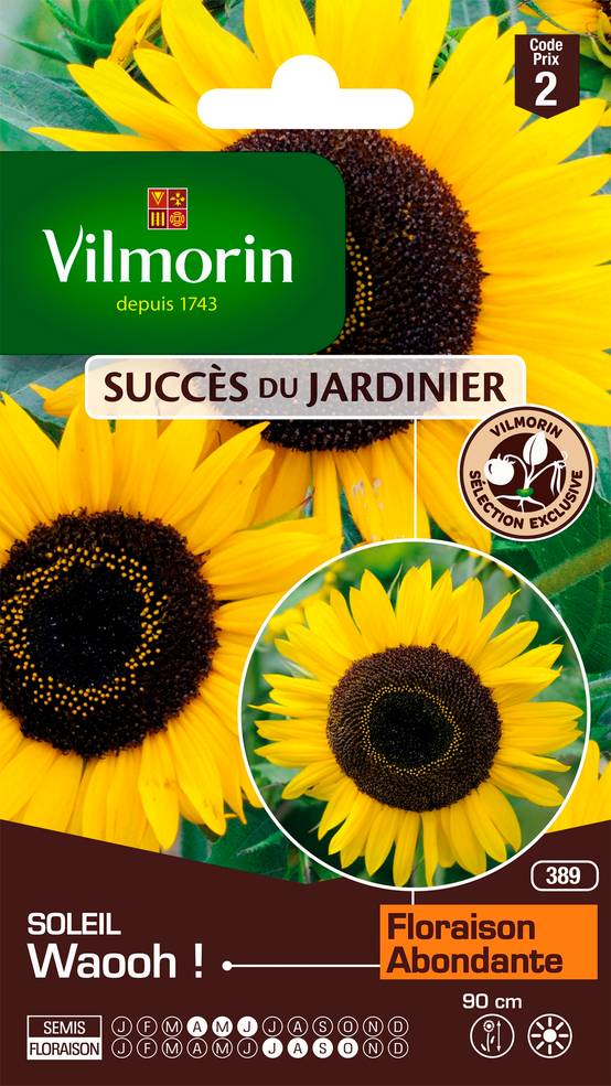 Vilmorin - Graines de tournesol Waooh! jaune - VILMORIN - Image 2