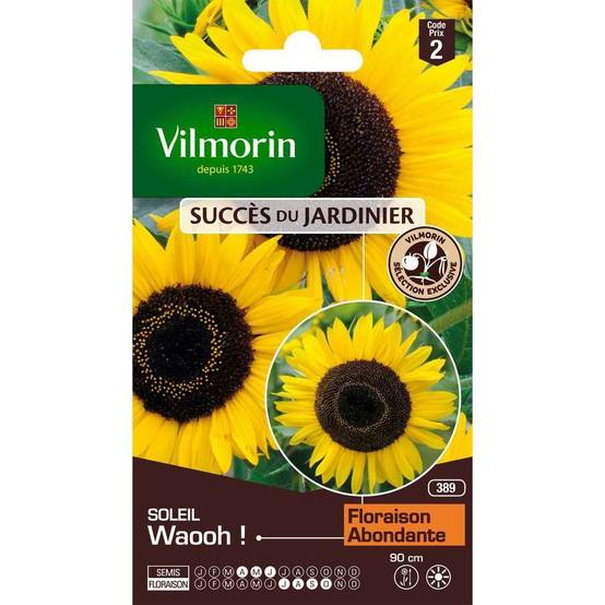 Vilmorin - Graines de tournesol Waooh! jaune - VILMORIN - Image 4