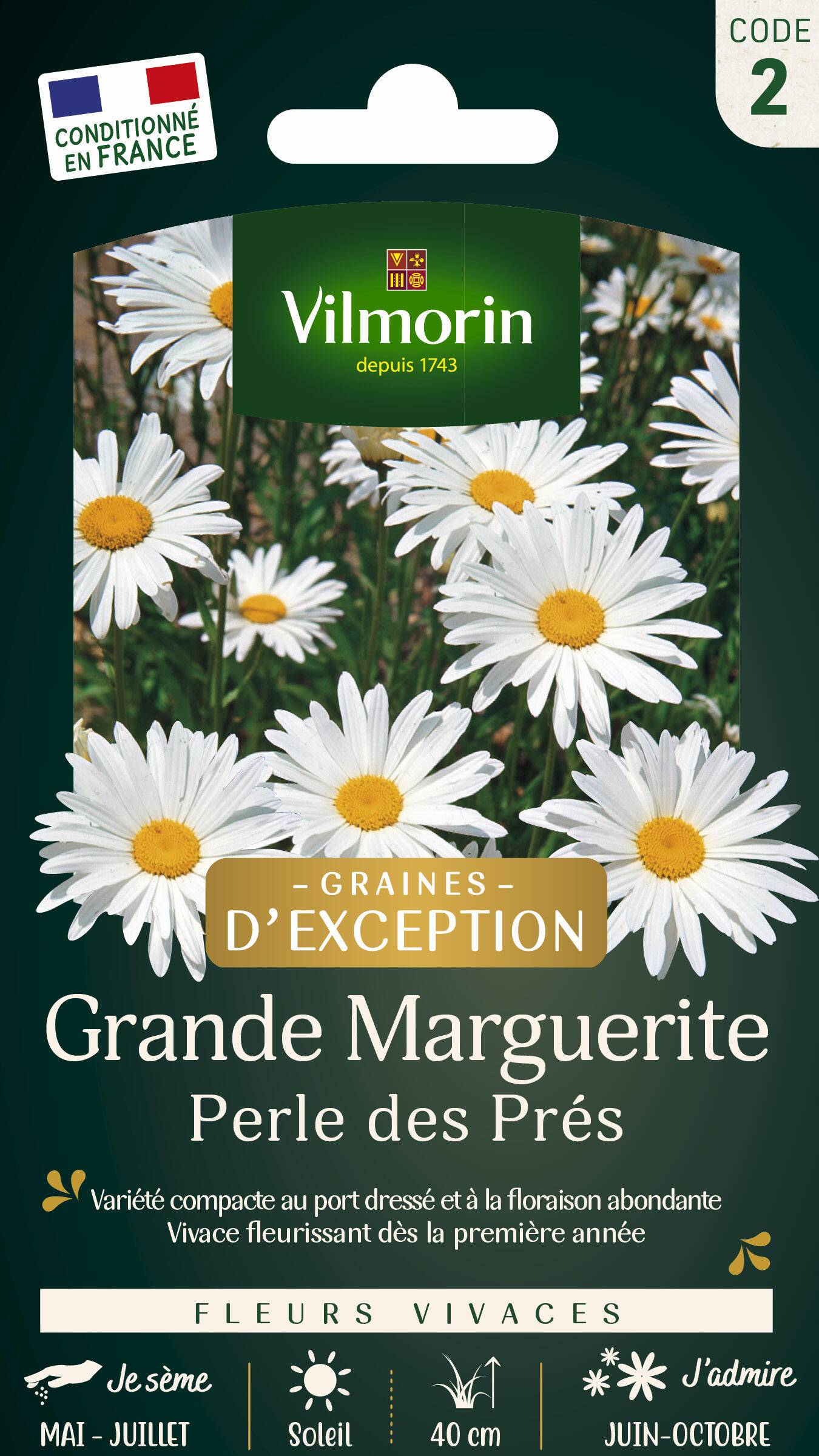 Vilmorin - Chrysanthème grande marguerite little princess série 2 sachet graines 1 g - Vilmorin - Image 1