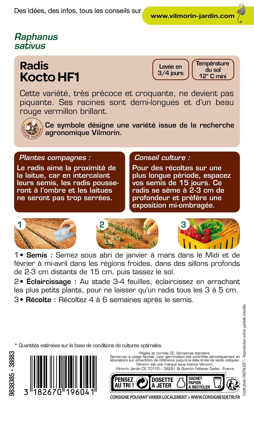 Vilmorin - Radis Kocto HF1 serie 2 sachet graines 10 g - Vilmorin - Image 3