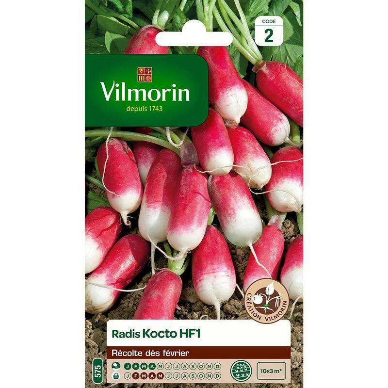 Vilmorin - Radis Kocto HF1 serie 2 sachet graines 10 g - Vilmorin - Image 1