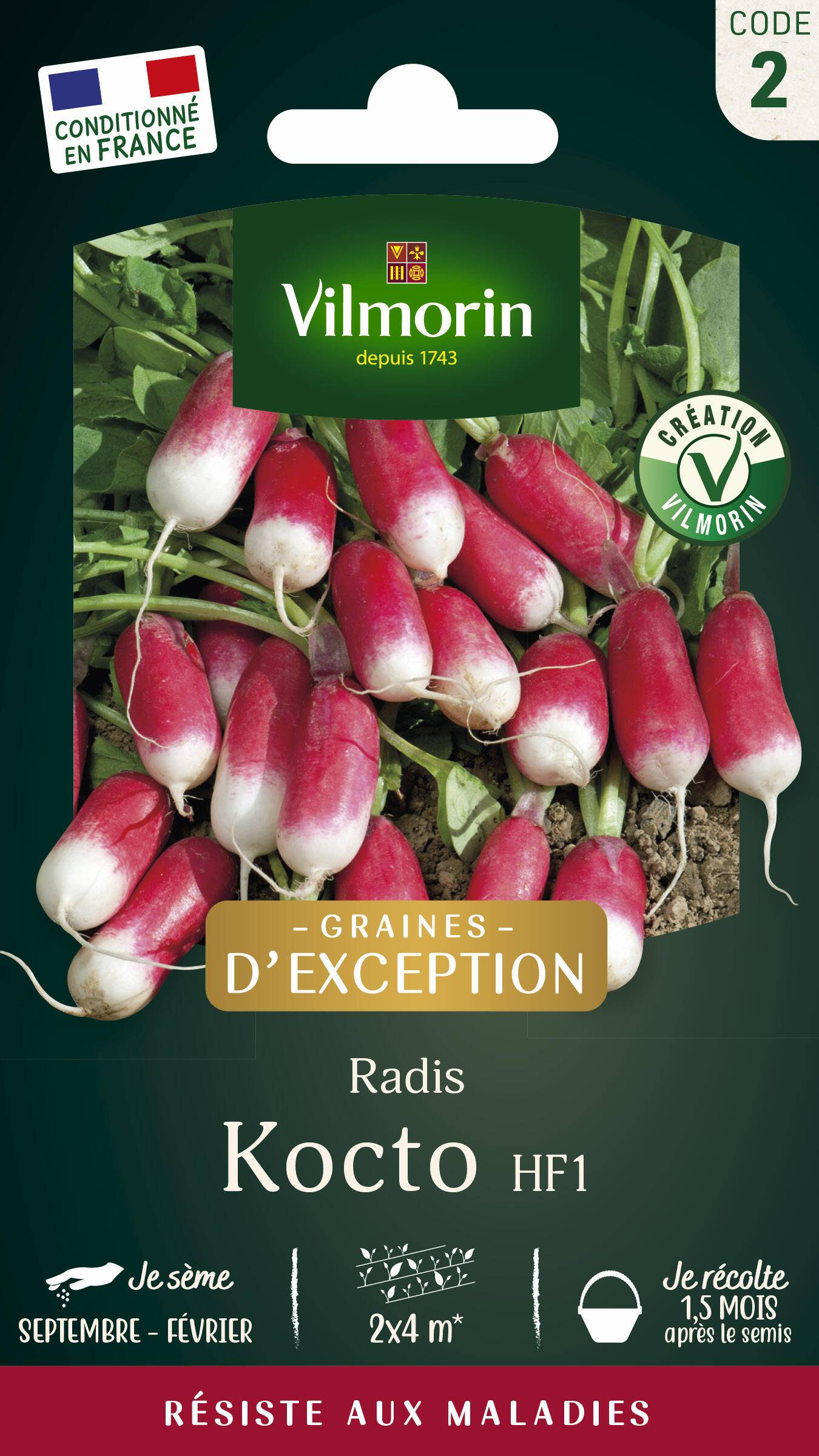 Vilmorin - Radis Kocto HF1 serie 2 sachet graines 10 g - Vilmorin - Image 2