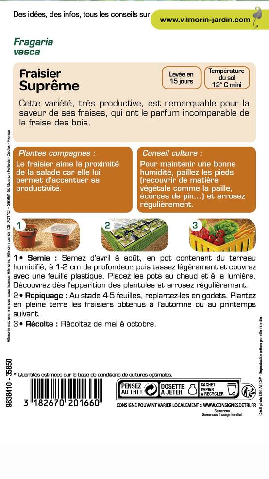Vilmorin - Fraisier des 4 saisons suprême série 2 sachet graines 0,25 g - Vilmorin - Image 4