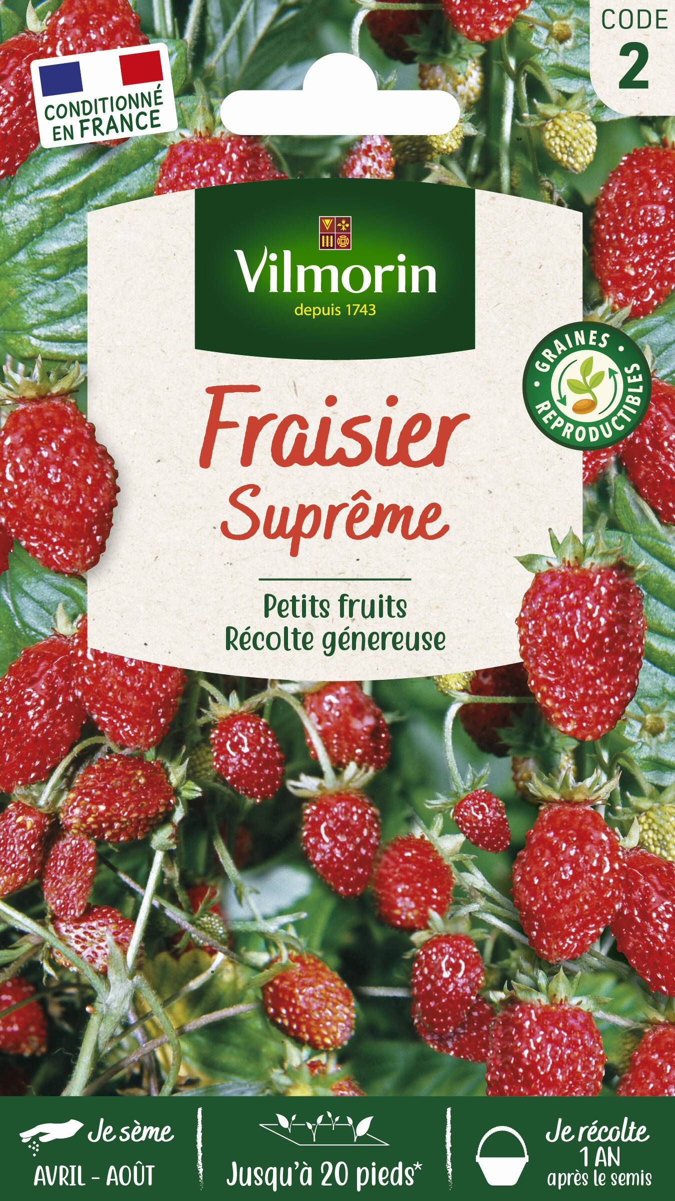 Vilmorin - Fraisier des 4 saisons suprême série 2 sachet graines 0,25 g - Vilmorin - Image 1