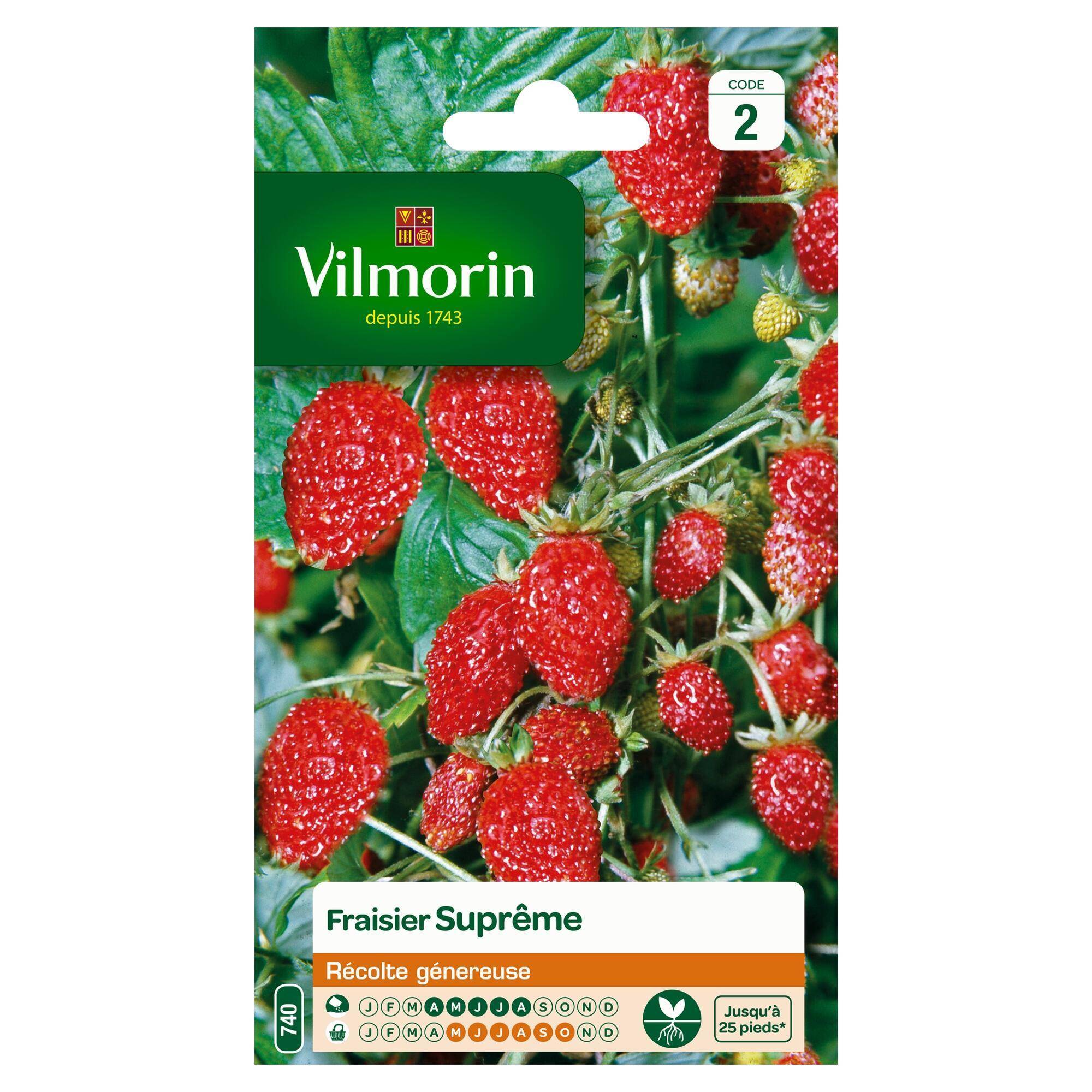 Vilmorin - Fraisier des 4 saisons suprême série 2 sachet graines 0,25 g - Vilmorin - Image 2