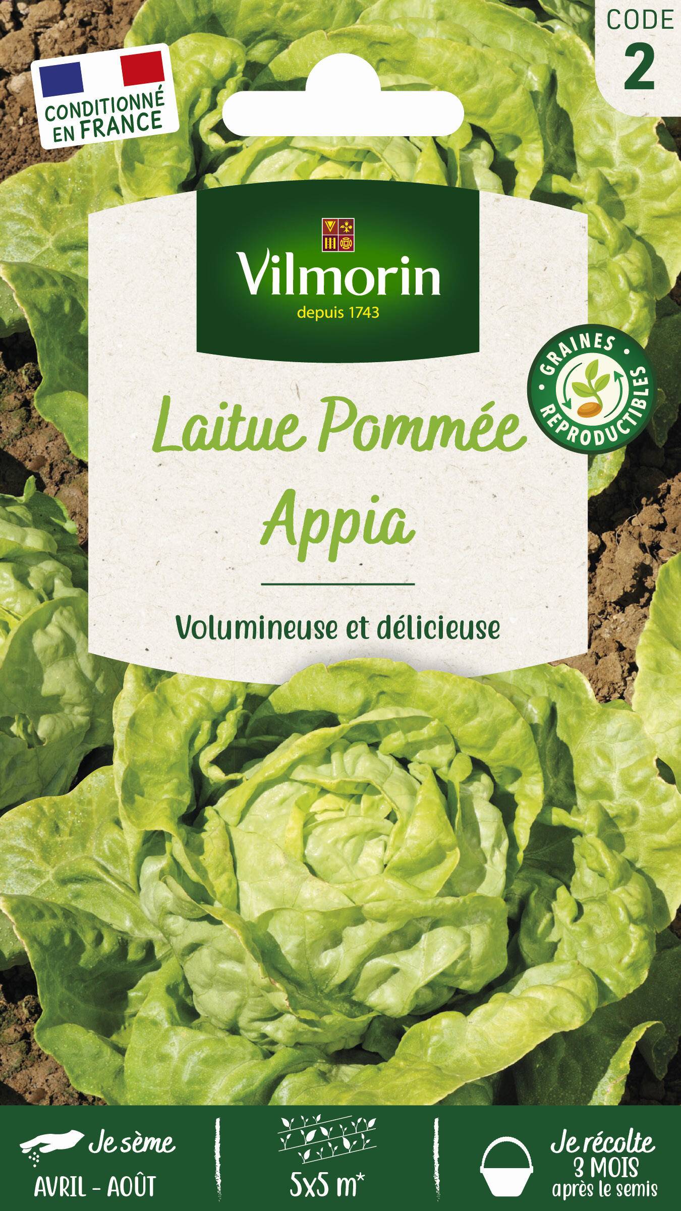 Vilmorin - Laitue pommée Appia série 2 sachet graines 3 g - Vilmorin - Image 1