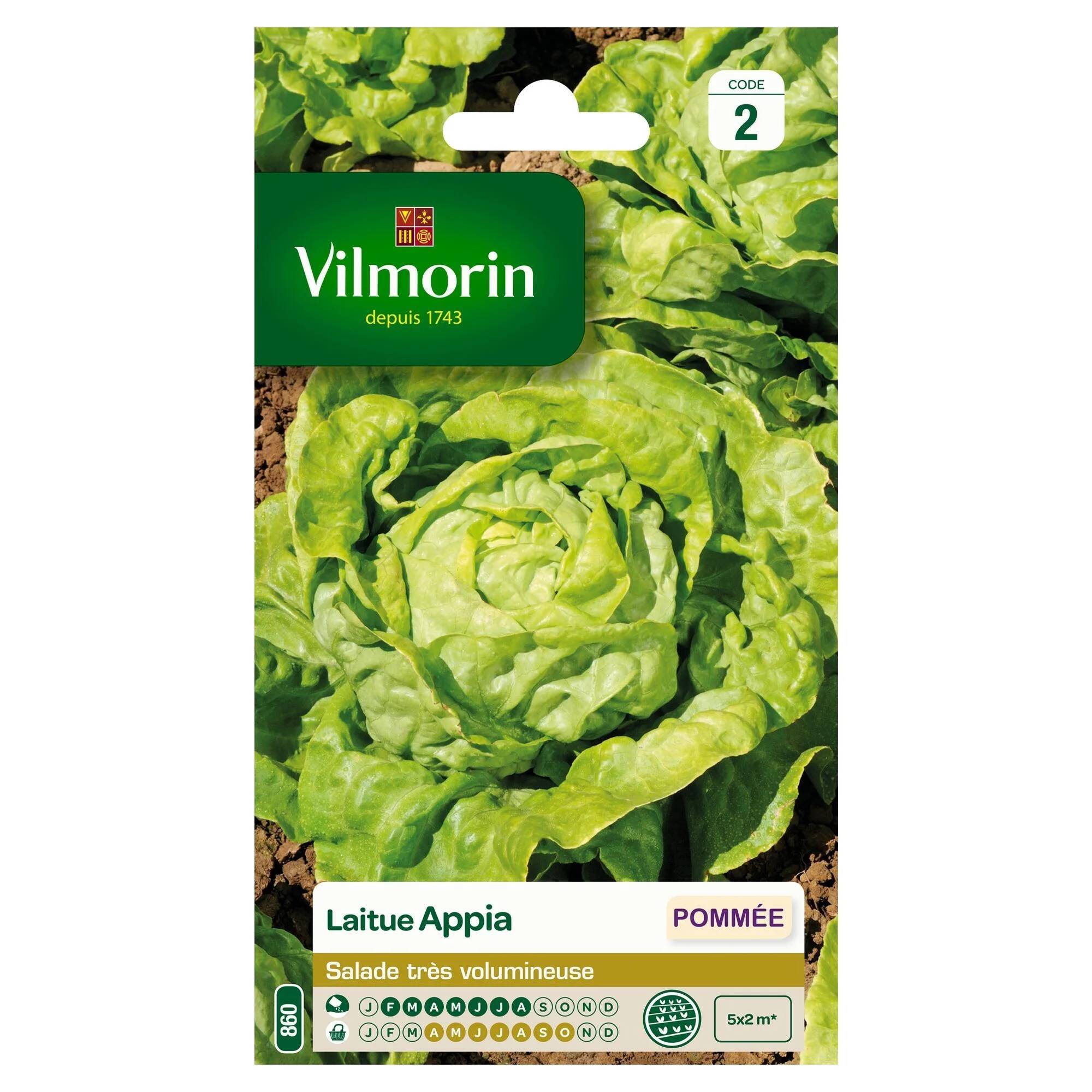 Vilmorin - Laitue pommée Appia série 2 sachet graines 3 g - Vilmorin - Image 2