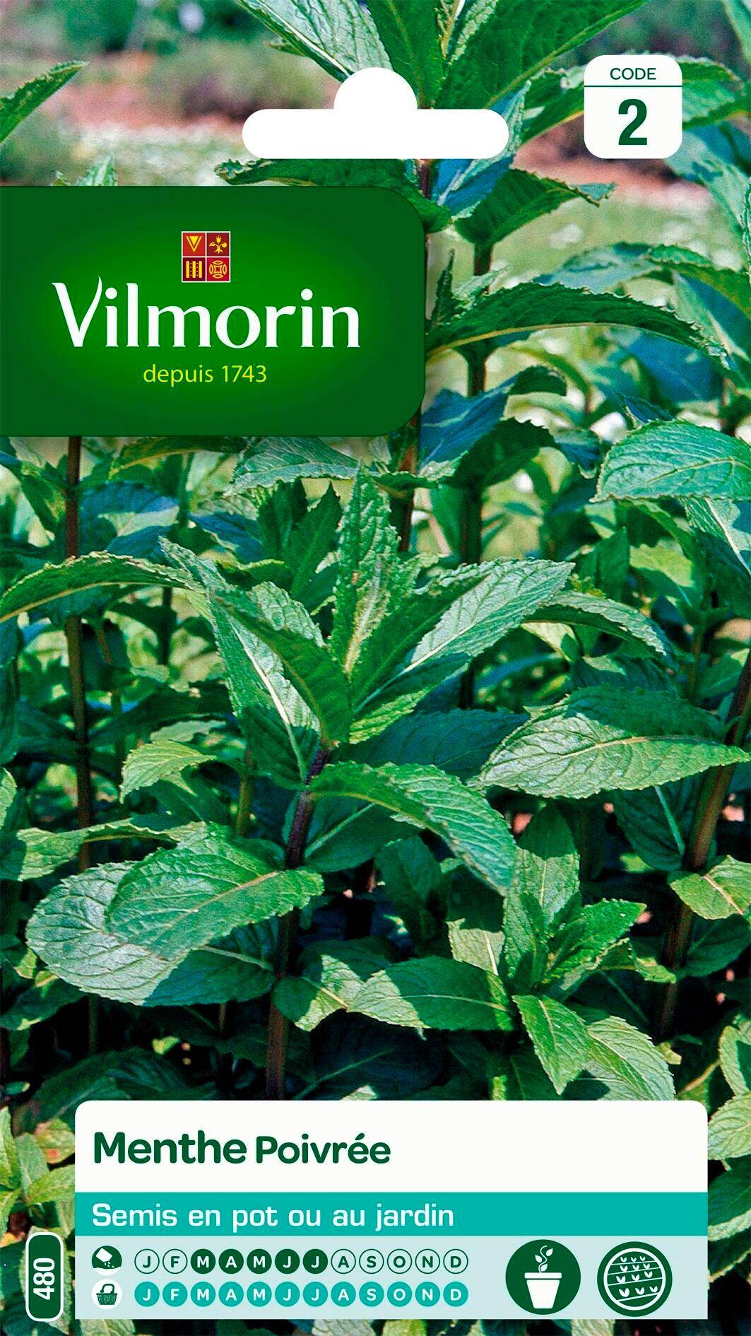 Vilmorin - Menthe poivrée série 2 sachet graines 0,3 g - Vilmorin - Image 1